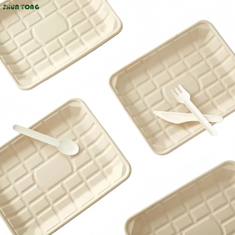 Bagasse Food Trays