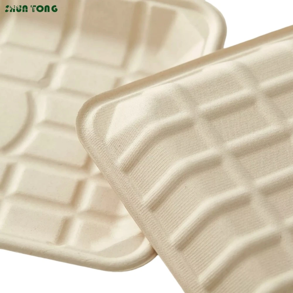 Bagasse Food Trays Bulk Orders