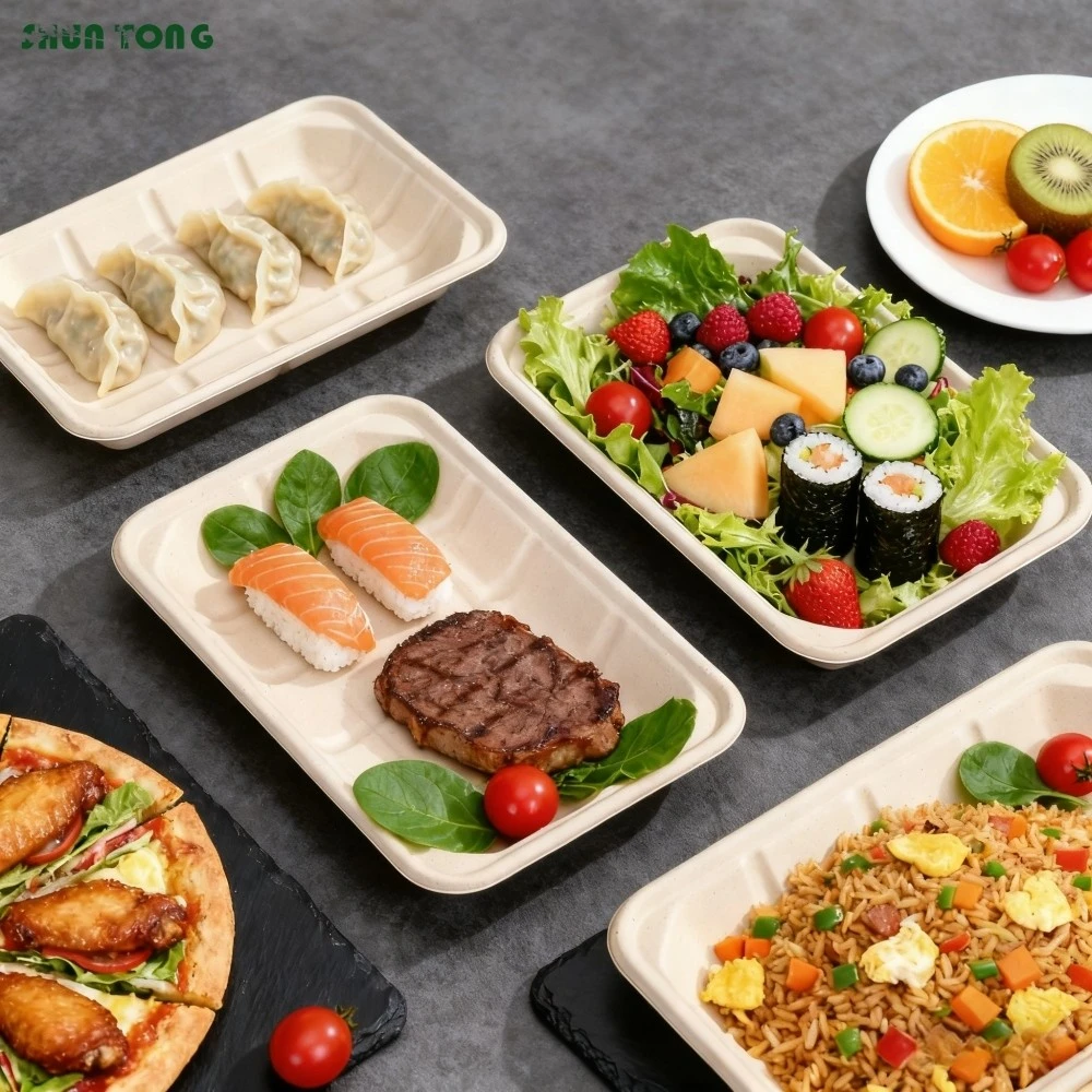 Bagasse Food Trays Factory